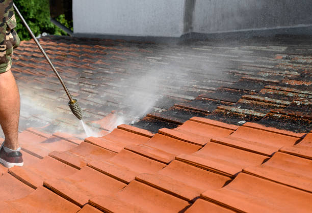 Best Pressure Washing Company Near Me  in Sundown, TX